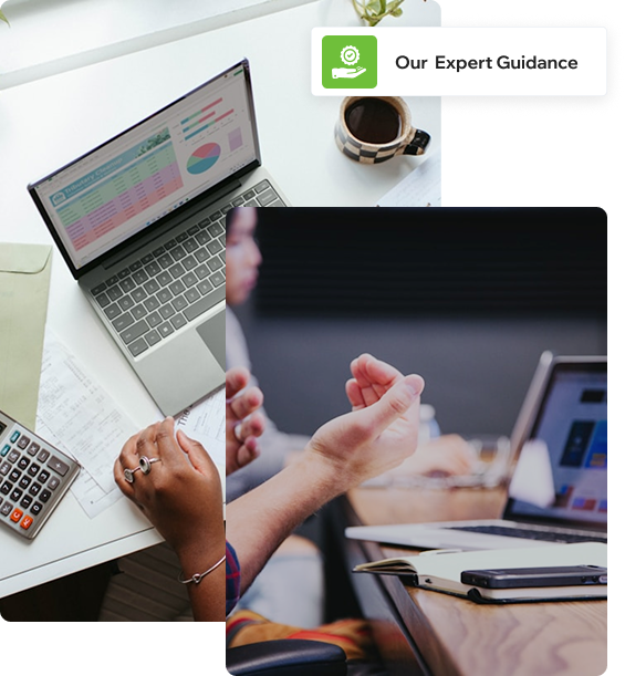 our-expert-guide